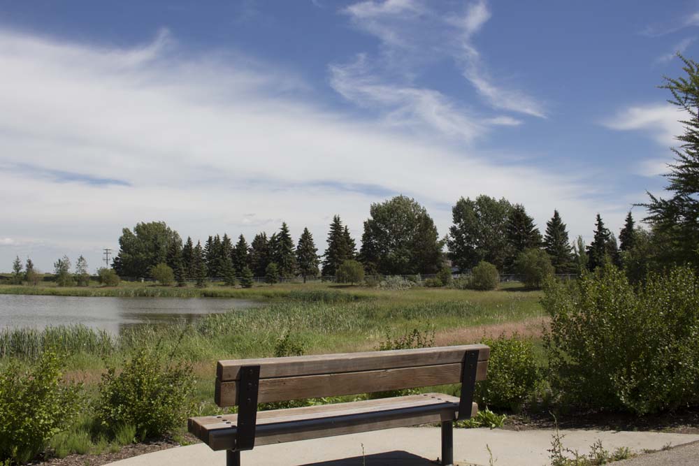 Relax and breathe in the scenery, along this walking path. Look out at the park and pond amidst natural greenery in the neighbourhood of Jesperdale.